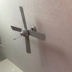 Meet your Posher, Bernise